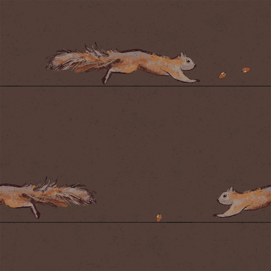 Nutty Squirrel Collection- Individual