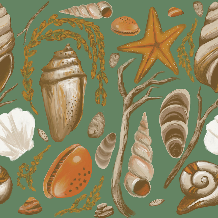 Scattered Seashells Collection- Commercial