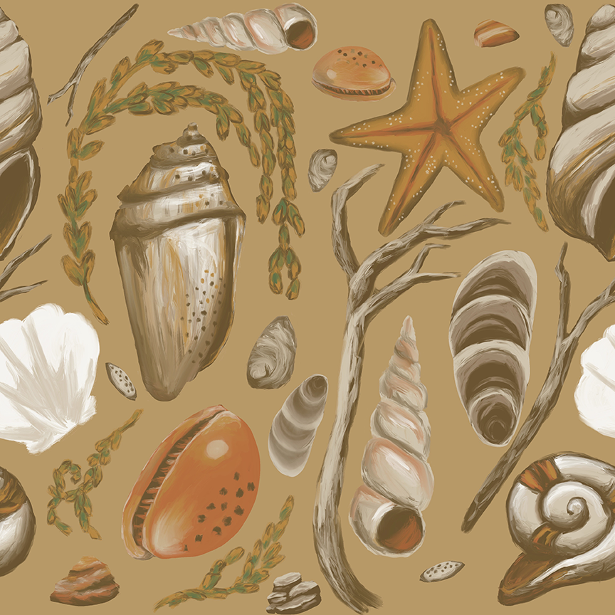 Scattered Seashells Collection- Commercial