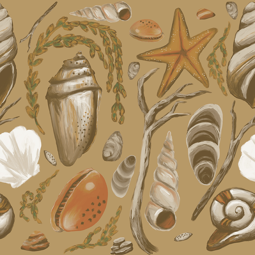 Scattered Seashells Collection- Individual - Turkey Trail Treasures